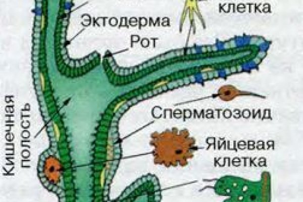 Кракен сайт vtor run