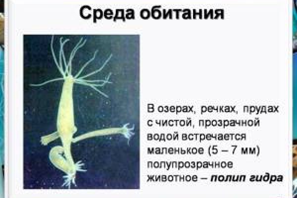 Кракен перестал работать